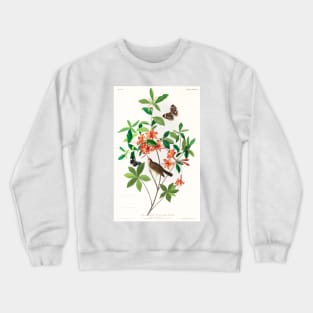 Brown headed Worm eating Warbler from Birds of America (1827) Crewneck Sweatshirt